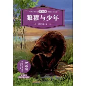 動物小說大王沈石溪精品集(注音版)：狼獾與少年