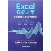 Excel數據之美：從數據透視表到分析報告