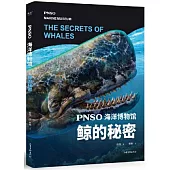 PNSO海洋博物館：鯨的秘密