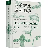 西藏野生蘭科植物
