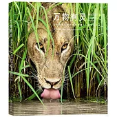 萬物有靈：國際野生生物攝影年賽第54屆獲獎作品