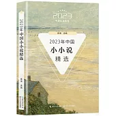 2023年中國小小說精選