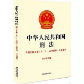 中華人民共和國刑法.含刑法修正案(十二)·法律解釋·典型案例(大字條旨版)