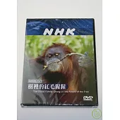 NHK 地球家族-樹裡的紅毛猩猩 DVD