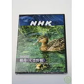 NHK 地球家族-棉鳧(艾德野鴨) DVD