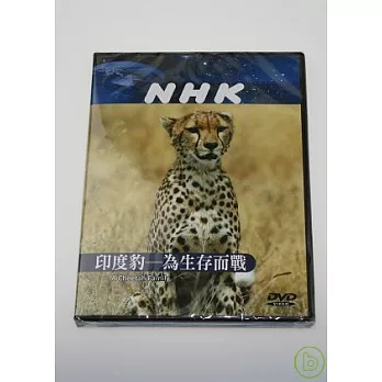 NHK 印度豹-為生存而戰 DVD