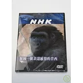 NHK 猩猩-能表達感情的肯西 DVD