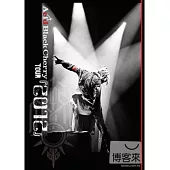 Acid Black Cherry / Acid Black Cherry TOUR 『2012』 (日本進口初回版, 2DVD)