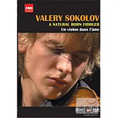 天生小提琴家 索可洛夫 DVD