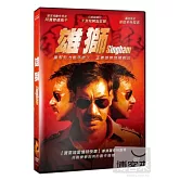 雄獅 DVD