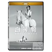 白神駒 (世界唯一16x9版) DVD