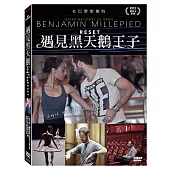 遇見黑天鵝王子 (DVD)