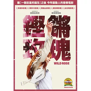 鏗鏘玫瑰 DVD
