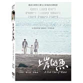 上岸的魚 (DVD)