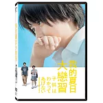 我的夏日大戀習 (DVD)