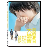 我的夏日大戀習 (DVD)