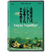 春光乍洩4K修復版 DVD