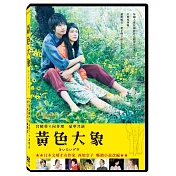 黃色大象 DVD
