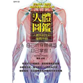 透視人體圖鑑：人體系統全彩導覽手冊，展開釐清人體奧妙的9大章之旅！ (電子書)