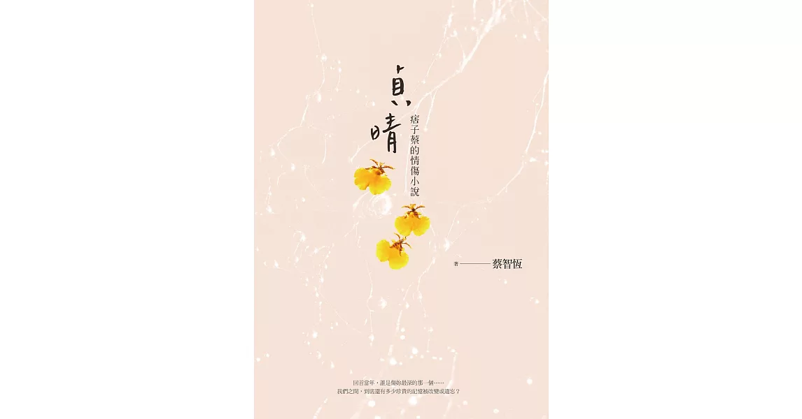 貞晴——痞子蔡的情傷小說 (電子書) | 拾書所