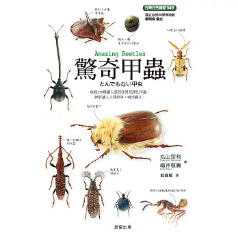 驚奇甲蟲 (電子書)