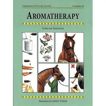 Aromatherapy for Horses