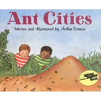 Ant cities