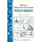 Helping Orphaned or Injured Wild Birds