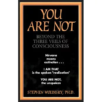 You Are Not: Beyond the Three Veils of Consciousness
