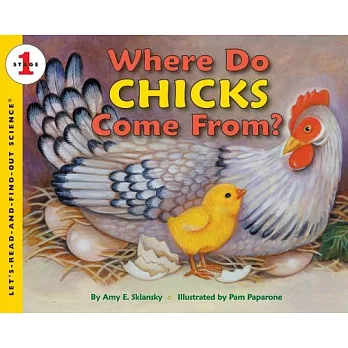 Where do chicks come from?