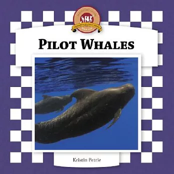 Pilot whales