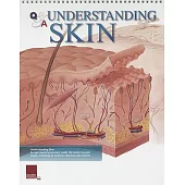 Understanding Skin