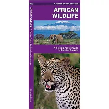 Africa Wildlife: A Folding Pocket Guide to Familiar Animals