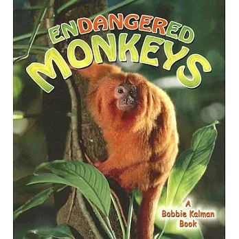 Endangered monkeys