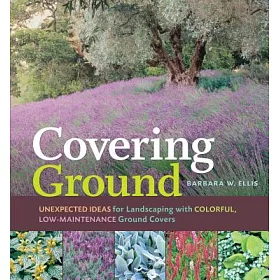 With Colorful Low Maintenance Groud Covers, Ground Covering Ideas