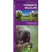 Yosemite Wildlife: A Folding Pocket Guide to Familiar Species