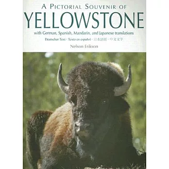 A Pictorial Souvenir of Yellowstone