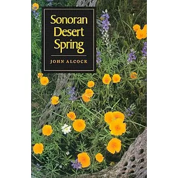 Sonoran Desert Spring