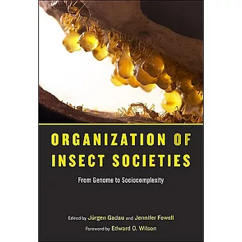 Organization of Insect Societies: From Genome to Sociocomplexity