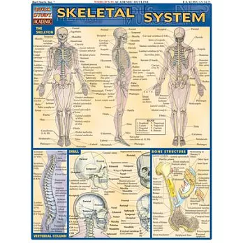 Skeletal System Quick Study Reference Guide