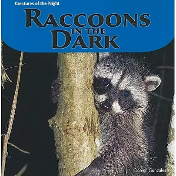 Raccoons in the Dark