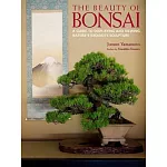 The Beauty of Bonsai: A Guide to Displaying and Viewing Nature’s Exquisite Sculpture