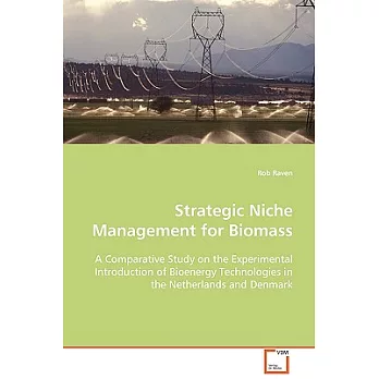 Strategic Niche Management for Biomass: A Comparative Study on the Experimental Introduction of Bioenergy Technologies in the Ne