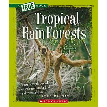 Tropical rain forests