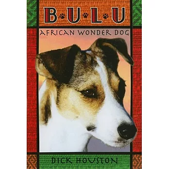 Bulu  : African wonder dog