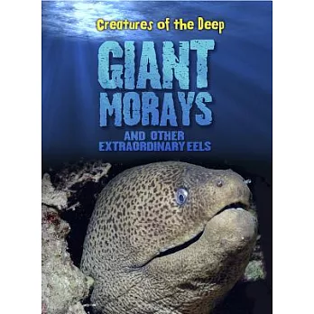 Giant morays and other extraordinary eels