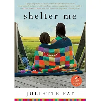 Shelter Me: A Novel