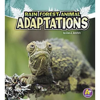 Rain forest animal adaptations