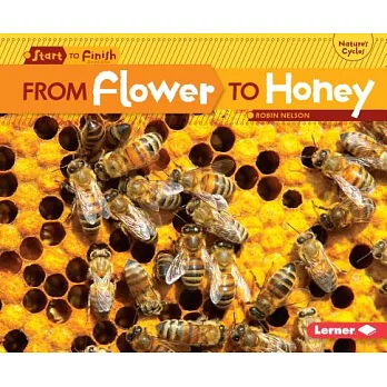 From flower to honey /