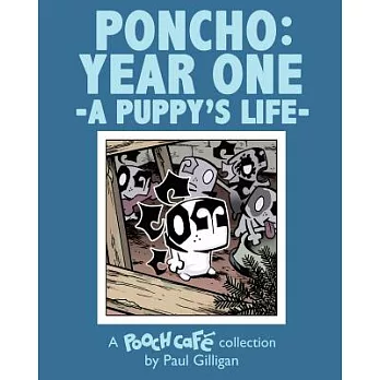 Poncho: Year One